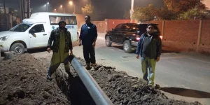 action against those who employ PHS staff in illegal force